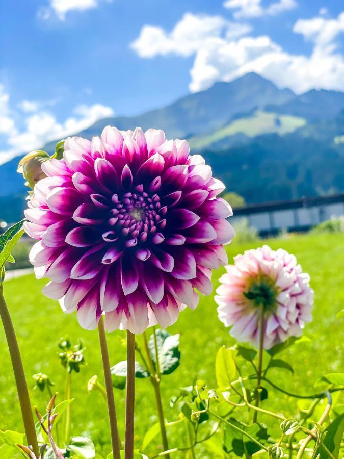Haus Waltl Appartement Sankt Johann in Tirol Buitenkant foto
